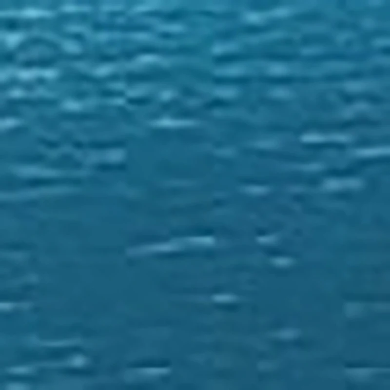 

5 PAIRS Women Socks Cotton Lovely Candy Color Imitation Pearl Women's Socks.Casual Ladies Girl's Short Female Socks Sox Hosiery