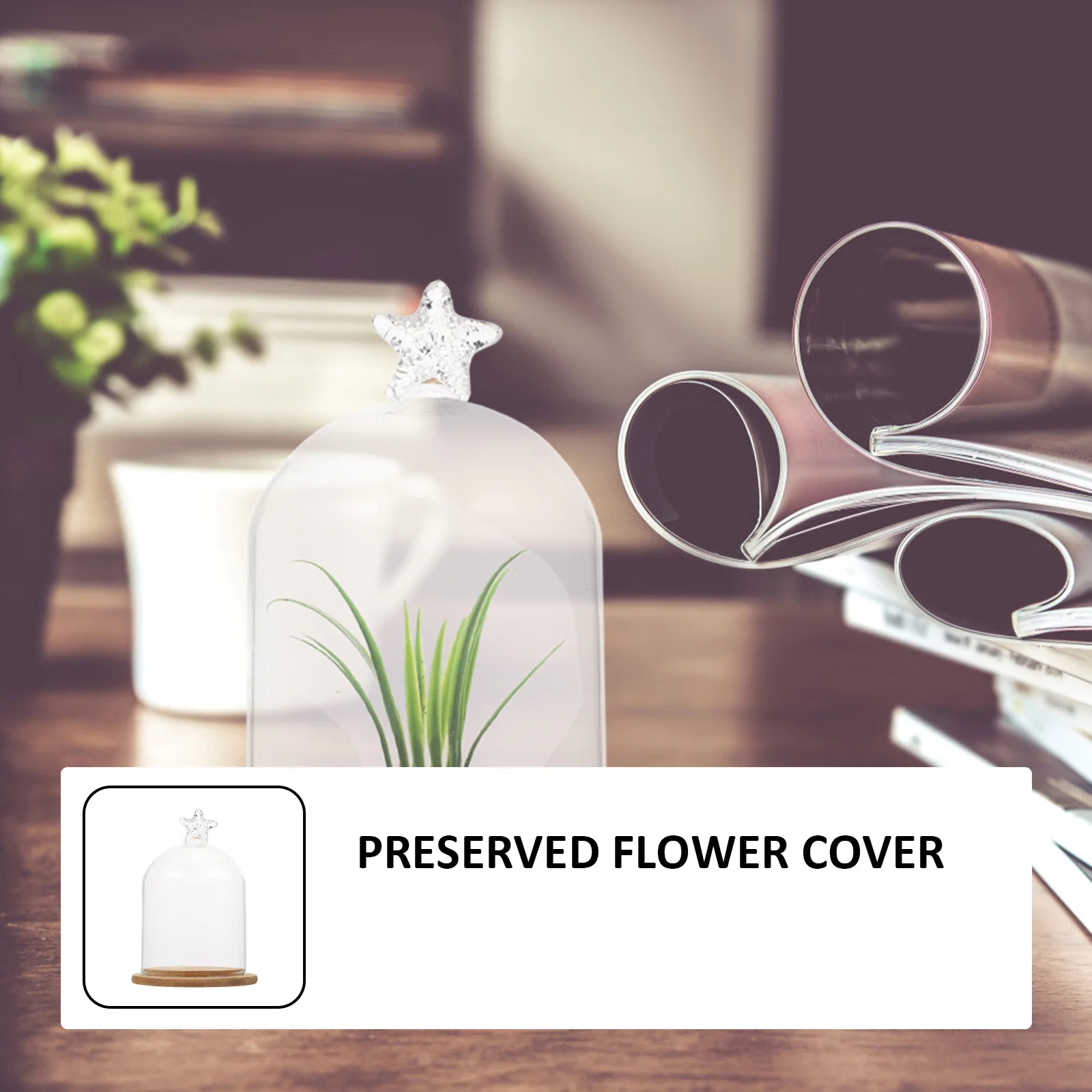 

Micro-landscape Plants Decorative Cover Glass Cake Display Eternal Flower Container