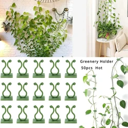 1/50Pcs Plant Climbing Wall Lamp Clip Vine Fixer Self-Adhesive Hook Invisible Garden Binding Clip Wall Fixer Outdoor Decors For