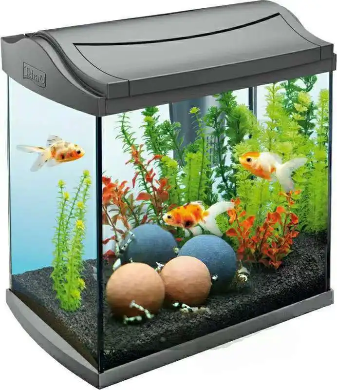 Tourmaline Ikfor Betta Fish Substrat, Précieux, Accessoires, ShriapAJFreshwater Aquarium, Précieux, NapSupplément