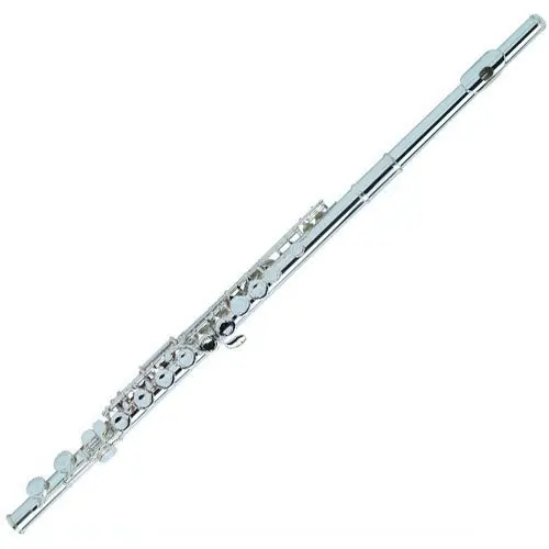 

New Stage Performance Instrument Hard Alloy Material Body Flute