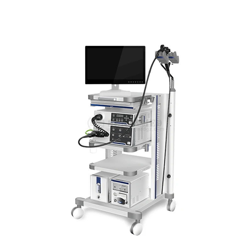 SY-P006-1 Potable Medical Flexible Gastroscope  and Colonoscope Endoscopy  System for Human Use with High Quality