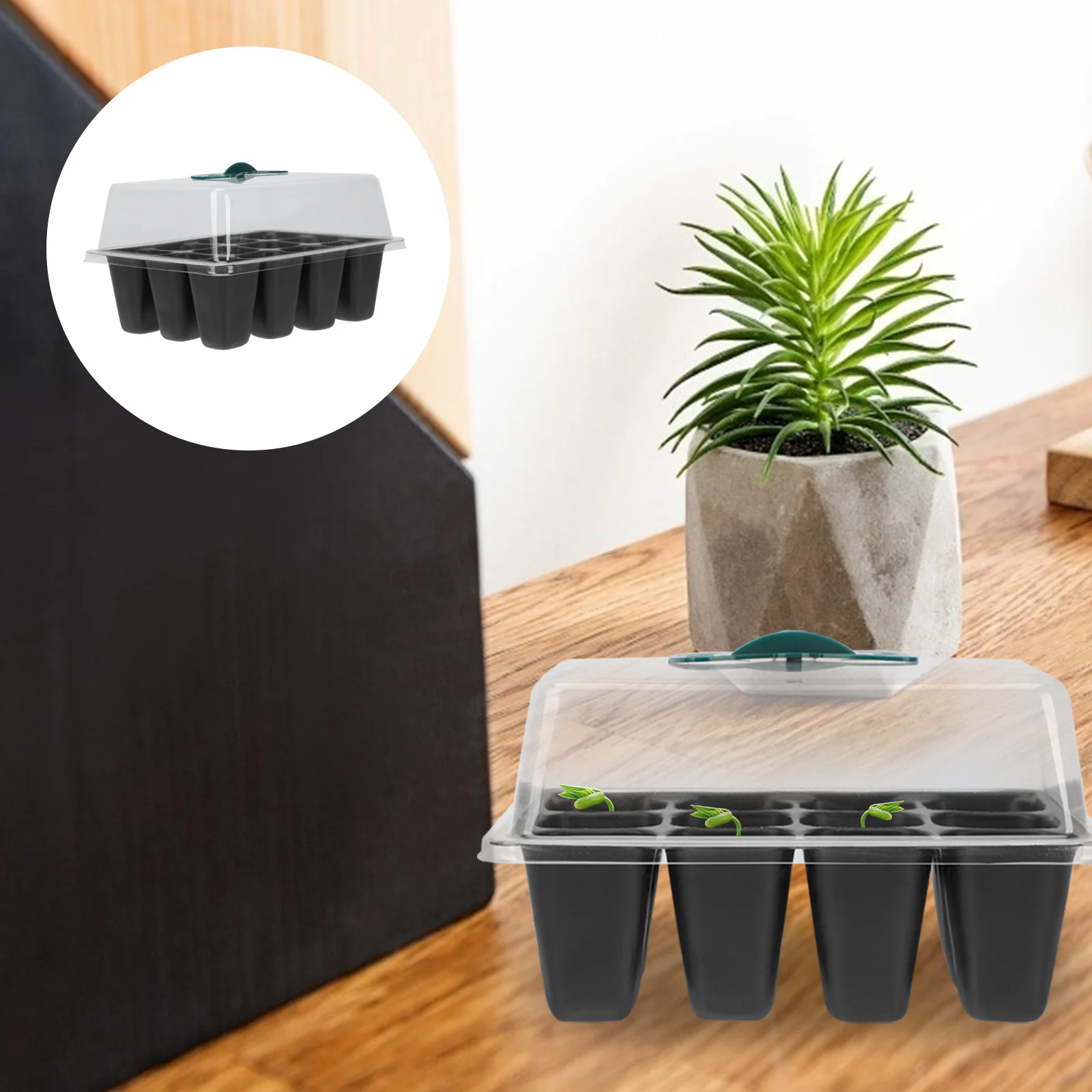 

3Pcs Plant Germination Container 12 Cells Heavy Duty Plastic Growing Box for Vegetable Garden Tool Seedling Starter Tray Indoor