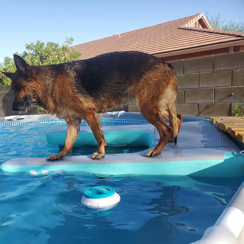 Pet Floating Board Dog Floating Pad Toy Slope Climbing Swimming Pool Resting Floating Platform