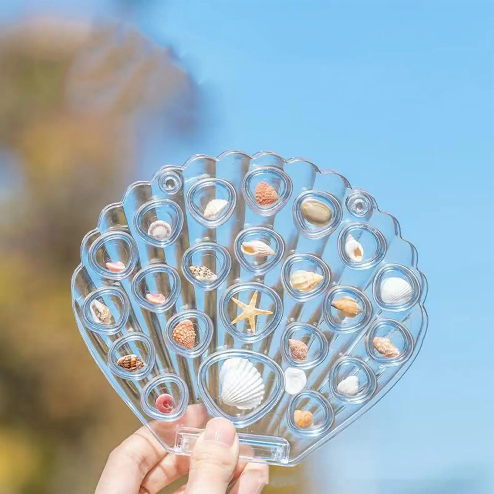 Shell Holder Clear Multi-Compartment Storage Box Magnetic Jewelry Display Container Decorative Keepsake Organizer for Home Decor