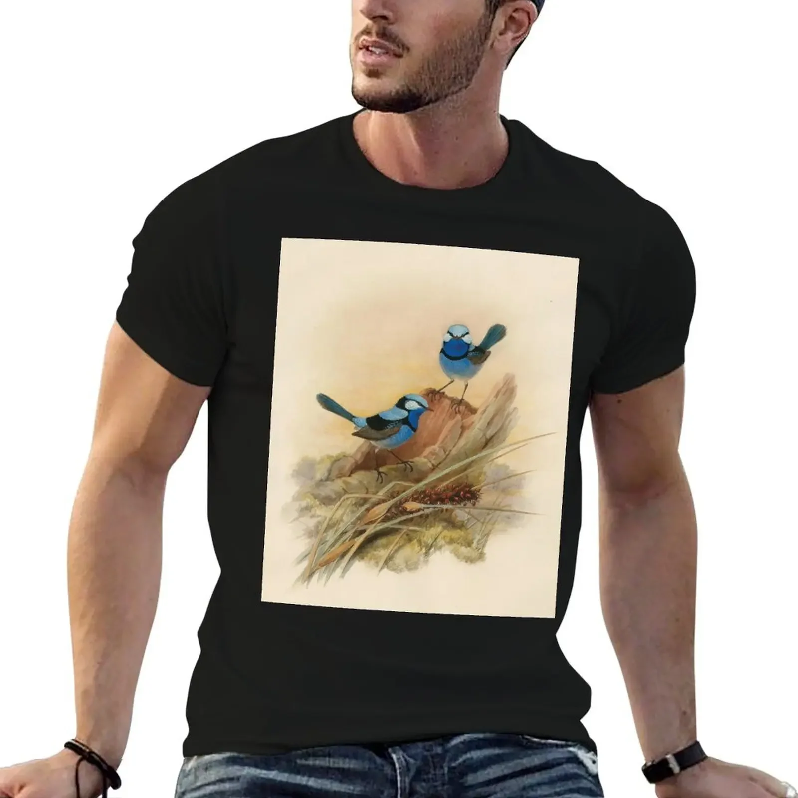 Splendid fairy wren, circa 1867 T-Shirt baggy shirts heavyweights rapper graphic tees mens t shirt