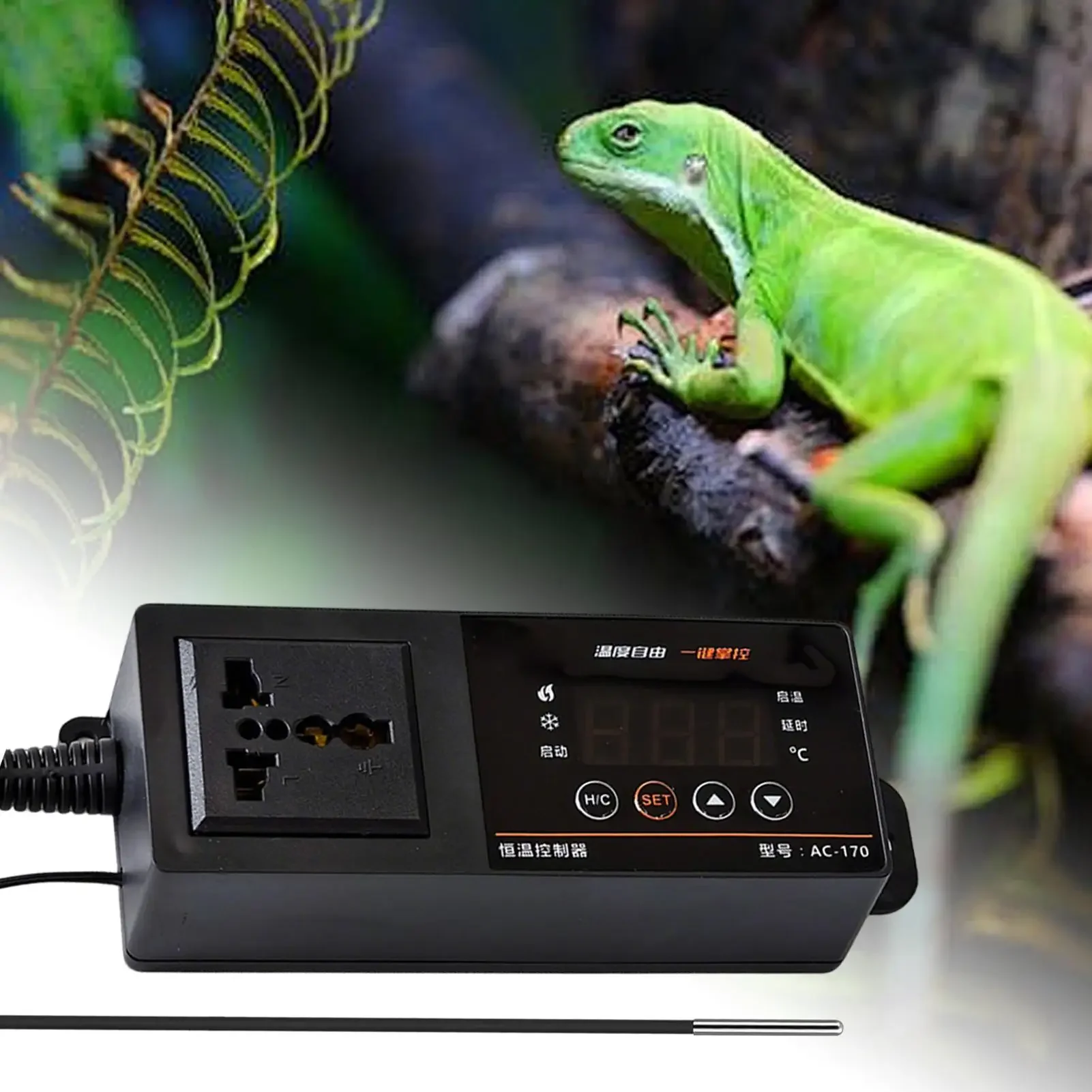 Led Display Thermos…