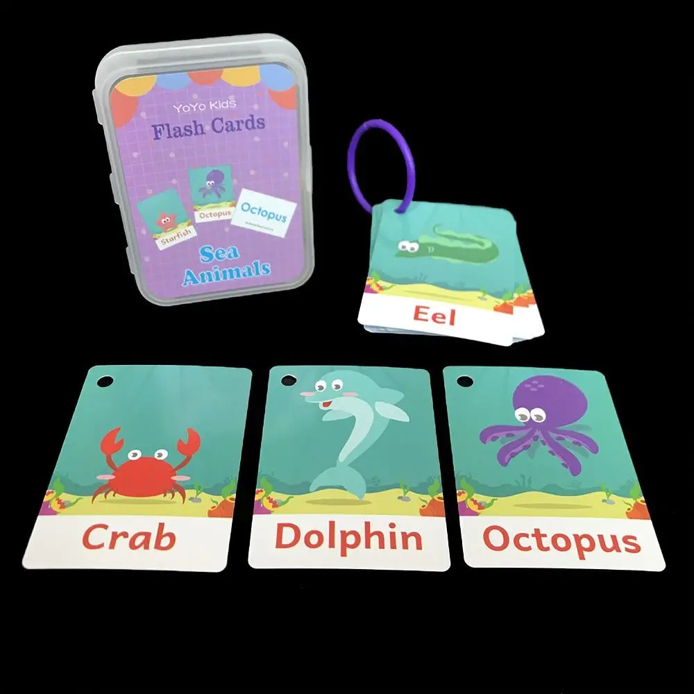 With Ring Alphabet Chart Early Educational Alphabets Numbers Colors Educational Flash Cards Colorful Illustrations