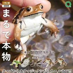 KITAN CLUB Original Gashapon Capsule Toys Figure Kawaii Cute NTC Tree Frog Toad Magnet Keychain Miniature Figurine Anime Decor