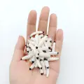 ST003 20pcs bai