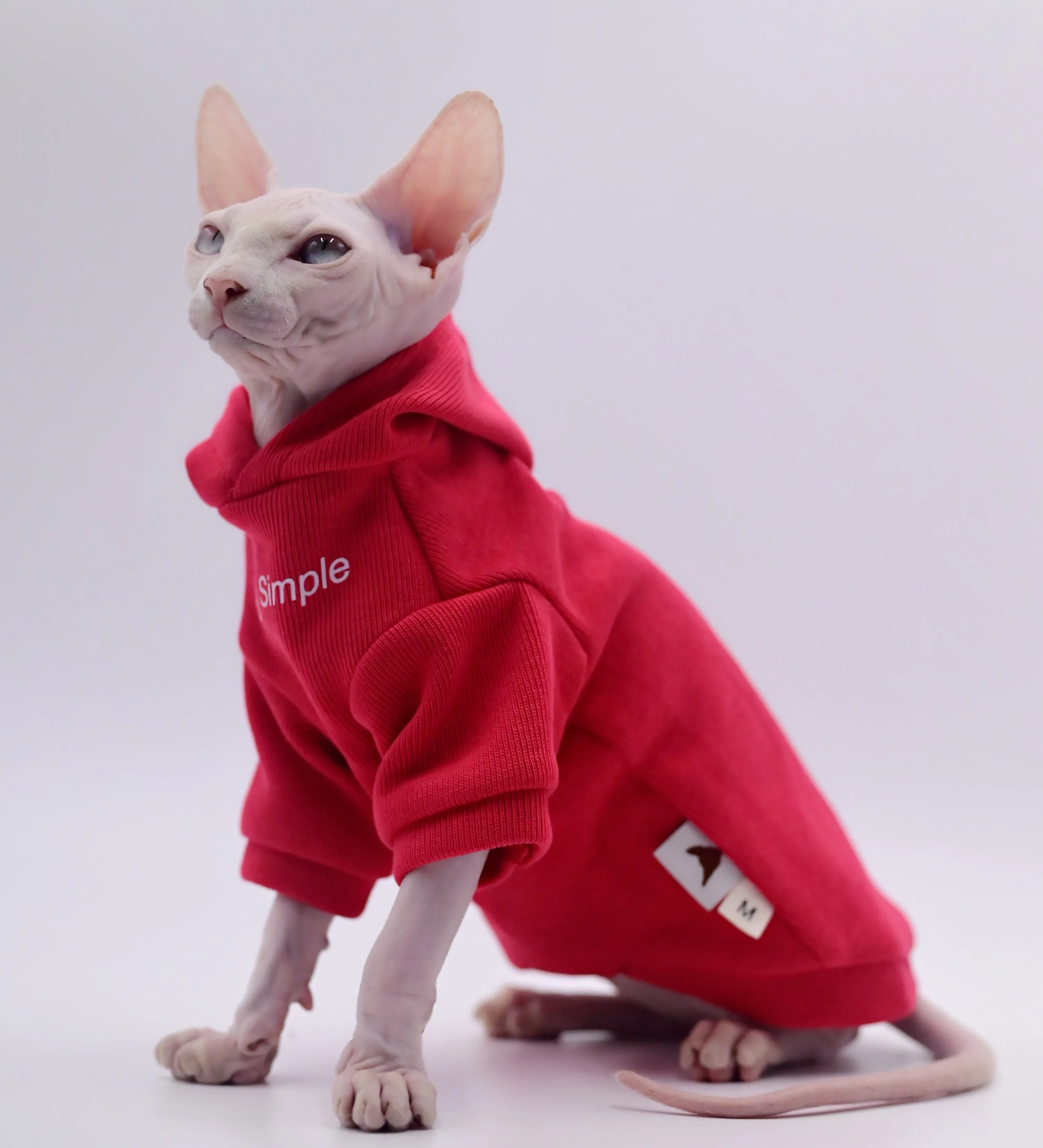 Hairless Ball Cat Apparel, Sphynx Cat Apparel, Kitty Clothes, Autumn and Winter Outfits