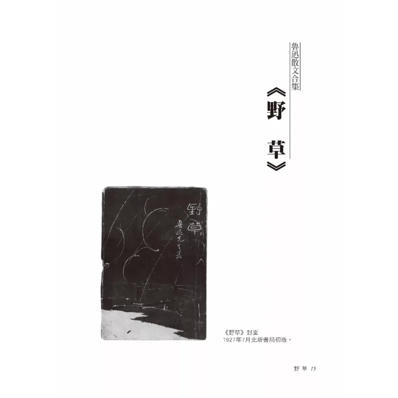 A Collection Of Lu Xuns Essays Lu Xun New Vision 9786269859924 Book
