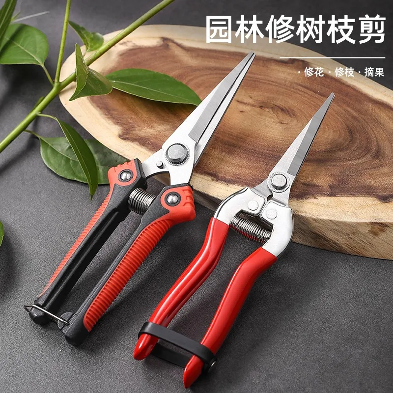 Stainless Steel Pruning Shears, Curved Tip Fruit Picking Scissors, Garden Trimming Scissors for Grape, Citrus, Fruit Thinning