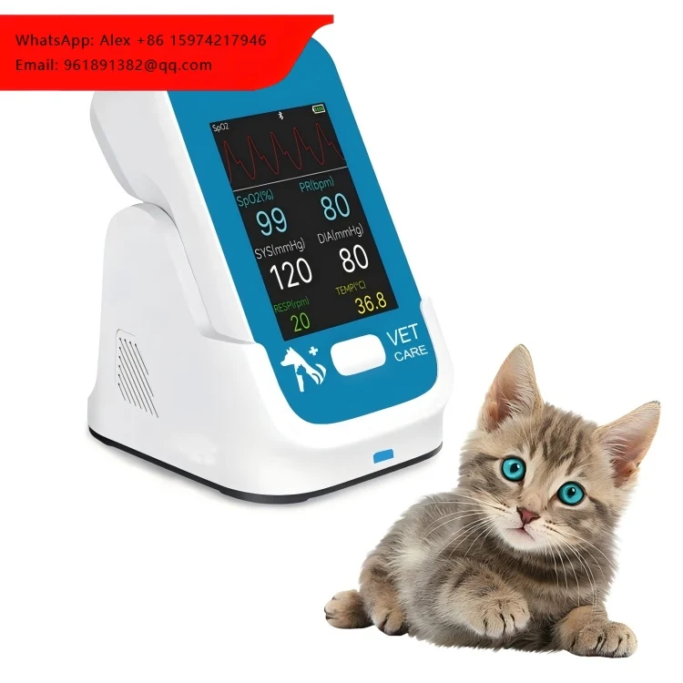 

SY-AM6200 Multiple-Parameters Pet Veterinary Monitor For Animal Hospital Use