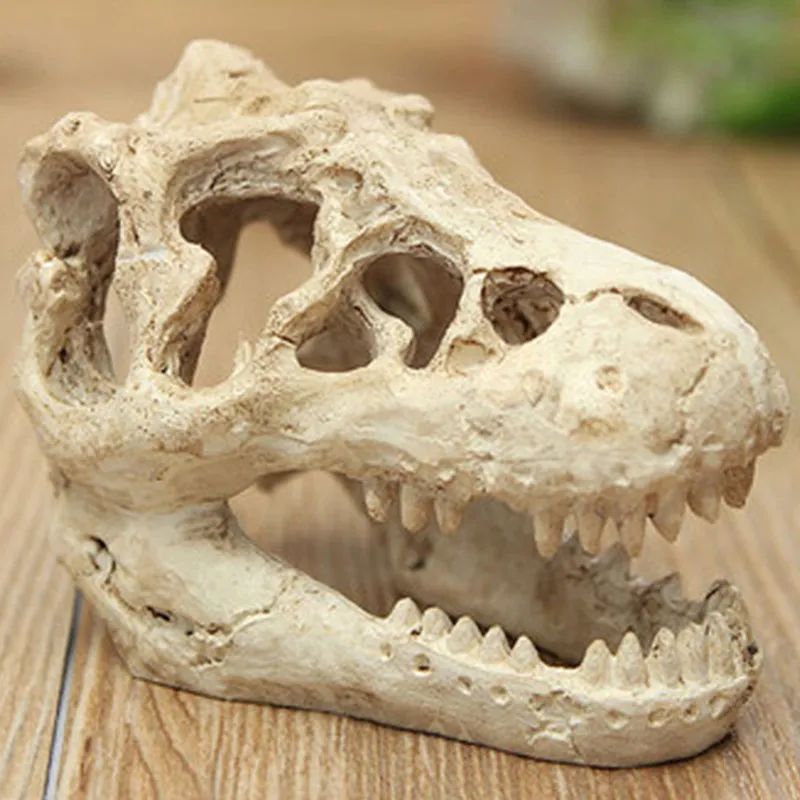 

Resin Aquarium Ornaments Resin Dinosaur Fish Tank Decoration Landscaping Aquariums Background Dinosaur Bone Aquarium Decoration