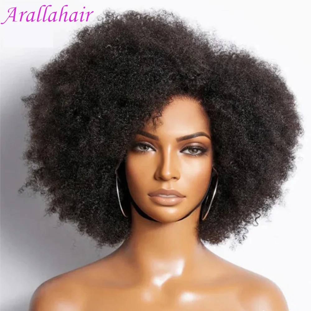 Afro Wig Human Hair Kinky Curly Bob Wig Lace Front Human Hair Wigs For Women 13x4x2 HD Lace Glueless Wig Pre Plucked 250 Density