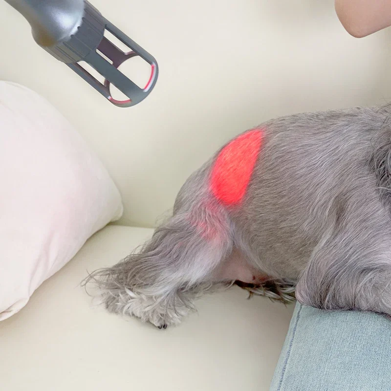 Neck Pain Relief Medical Device Physical Therapy Rehabilitation Health Care Equipment for Home Use
