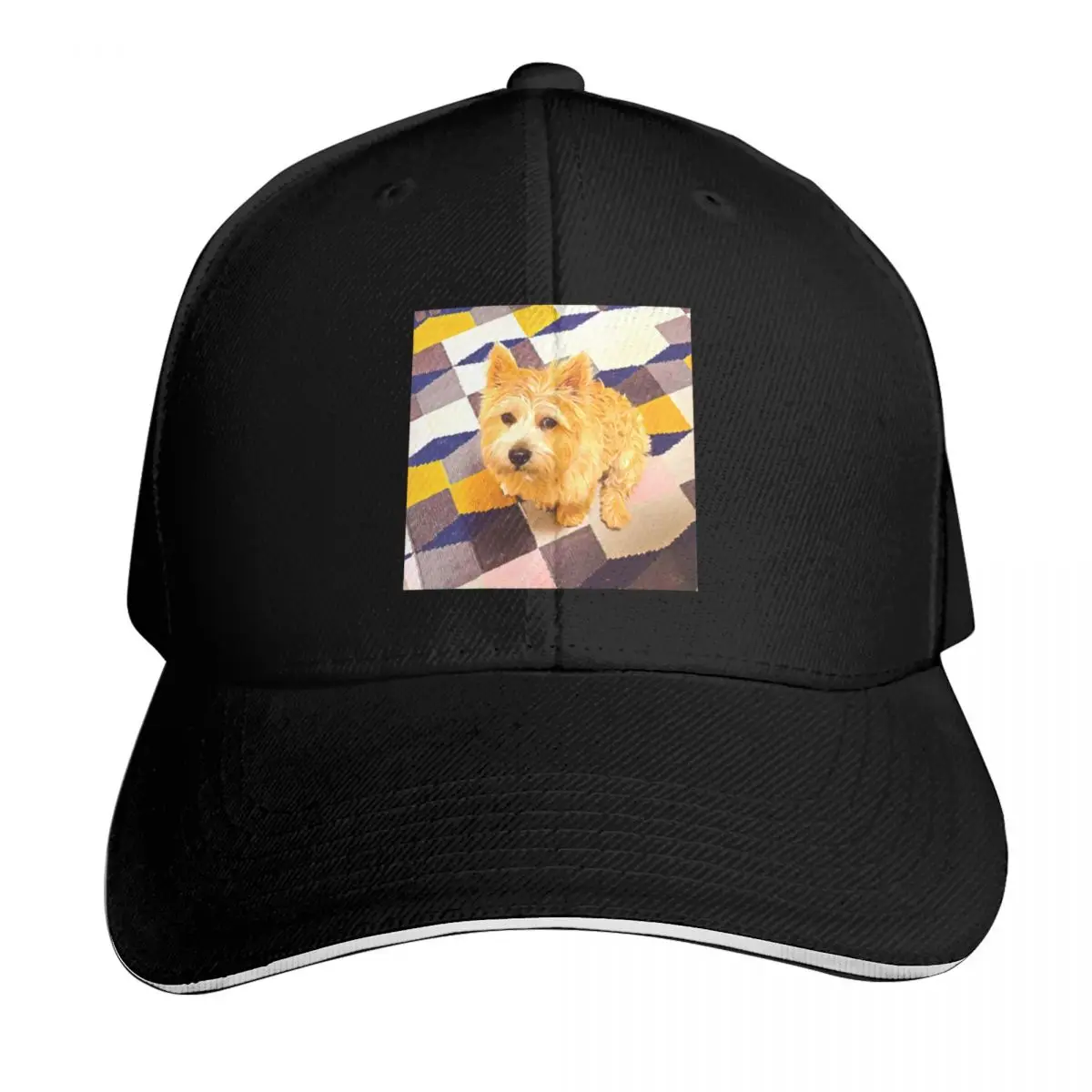 

Norwich Terrier Puppy Dog Baseball Cap cute Hat men Hat Man Luxury custom caps Mens Women's