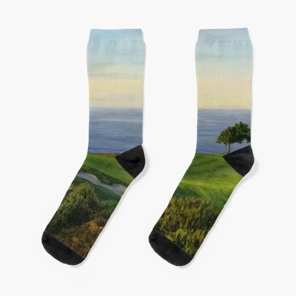 

No. 3 at Torrey Pines Socks winter gifts christmas gifts hiking cartoon Socks Men Women's