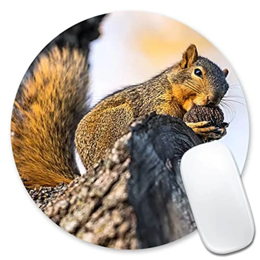 

Mouse Pad Cute Squirrel is Eating The Nuts in The Tree Non-Slip Mouse Mat Round Mousepad for Office Desk Laptop Computer Mouse