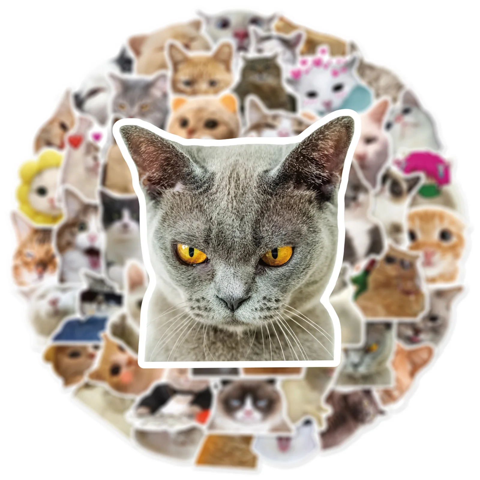 Taza de Graffiti de gato realista de dibujos animados para decoración de interiores, pegatina de PVC impermeable DIY, personalizada, 10/30/50 piezas