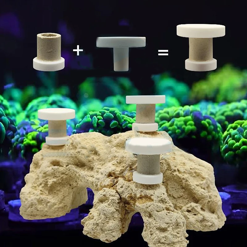 1/5PCS SPS Seawater Coral Frag Plate Base Ceramic Coralline Coral Frag Plugs Base Tray Aquarium Plant DIY Decoration