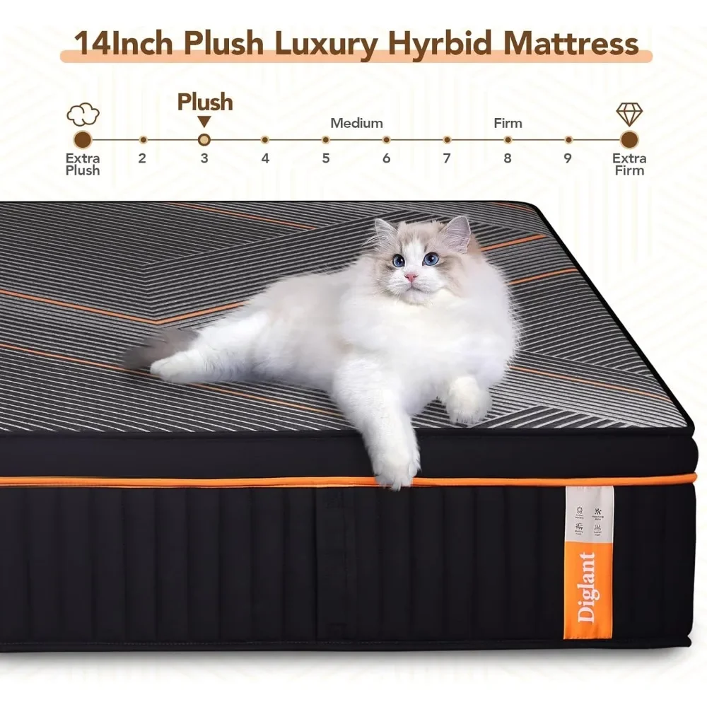 Queen Mattress, 14 Inch Hybrid Mattress, Memory Foam with Individually Pocket, Mattress in Box, Mattress for Pressure Relief