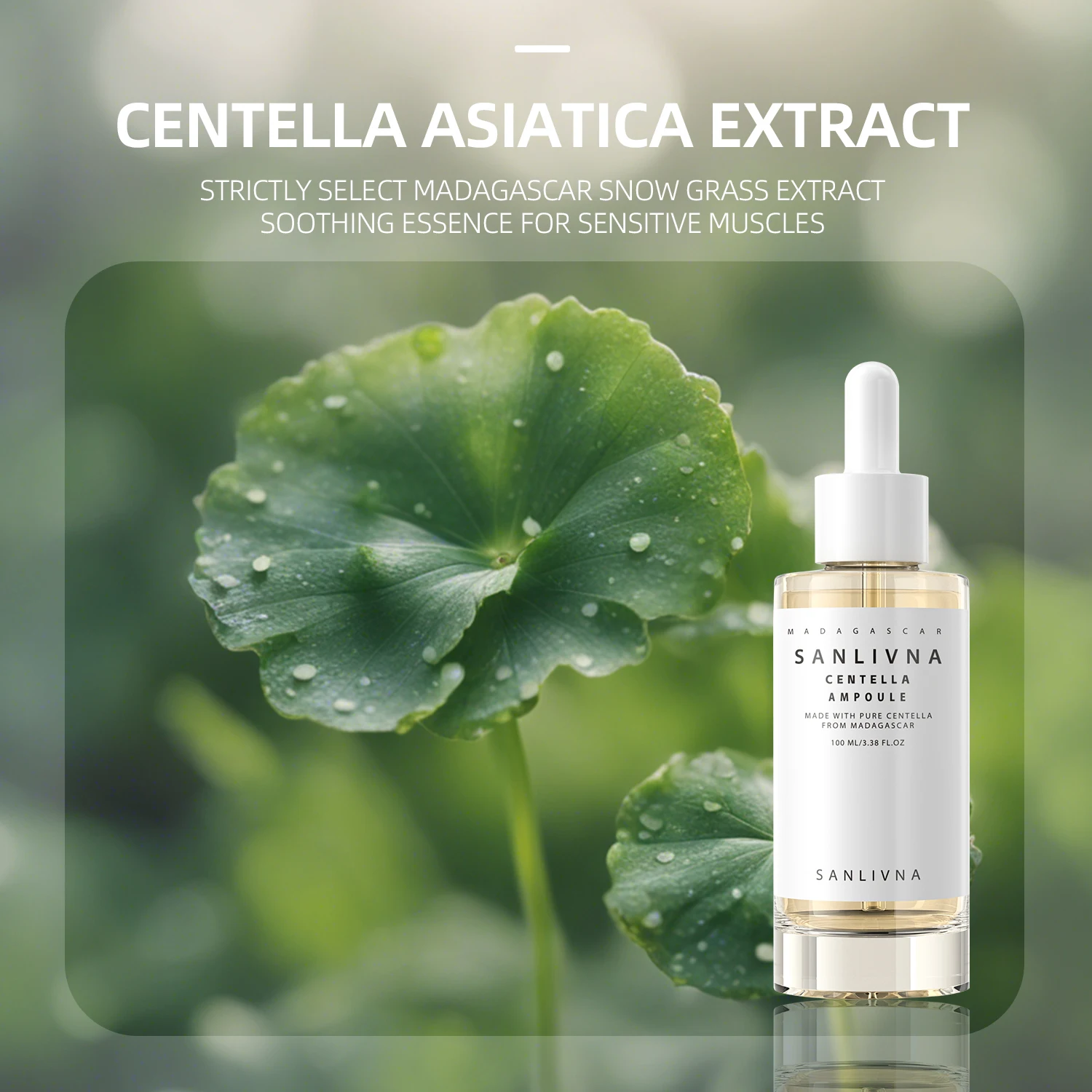 Madagascar Centella Asiatica Ampoule Korean Facial Moisturizing Serum Light Watery Texture Essence Houttuynia Cordata Anti-aging