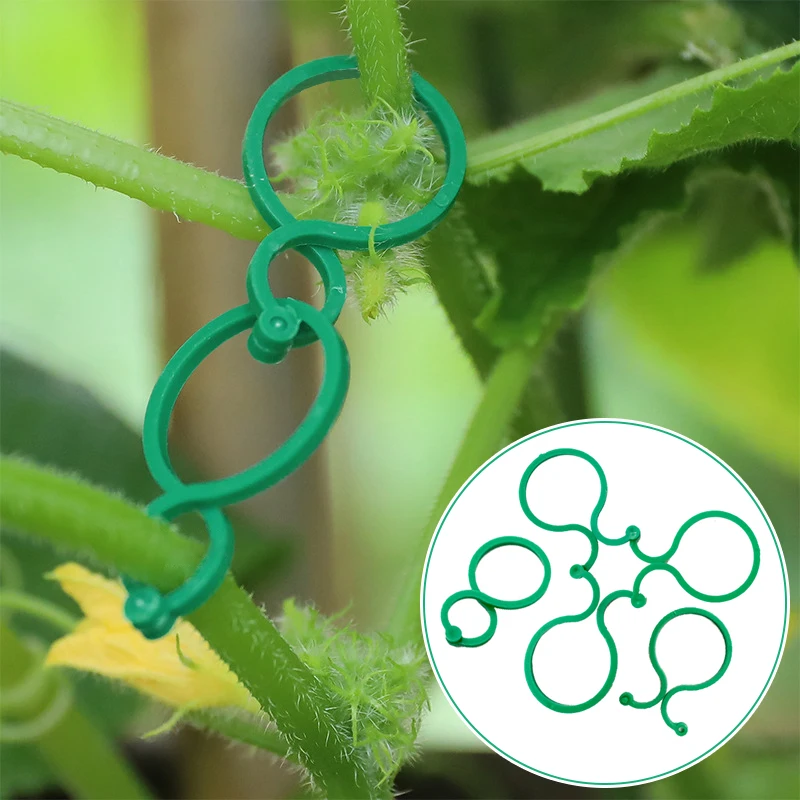 Plastic Garden Plant Clips For Vegetable Growing Upright Plant Holder Tomato Bundled Ring Garden Stand Tool Vine Support