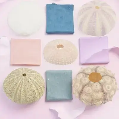 

5Pcs Home Sea Urchin Decors Shell Handmade Craft Ornaments Aquarium Landscape Fish Tank Decorations DIY Sea Urchin Crafts