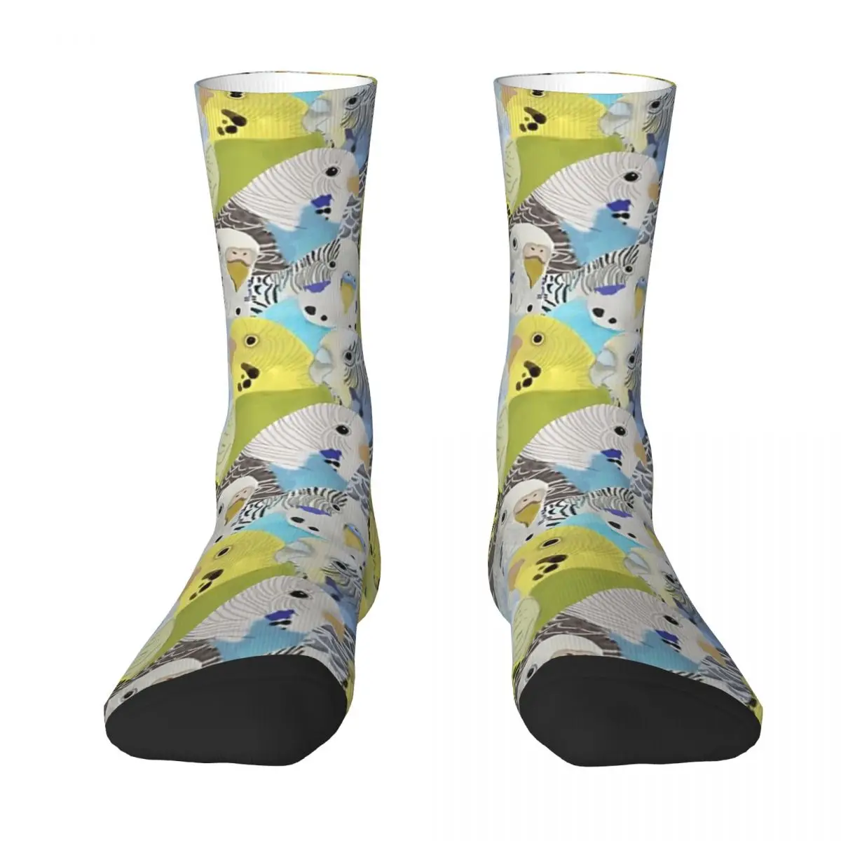 

Budgie Parakeets Socks Harajuku High Quality Stockings All Season Long Socks Accessories for Man's Woman's Gifts