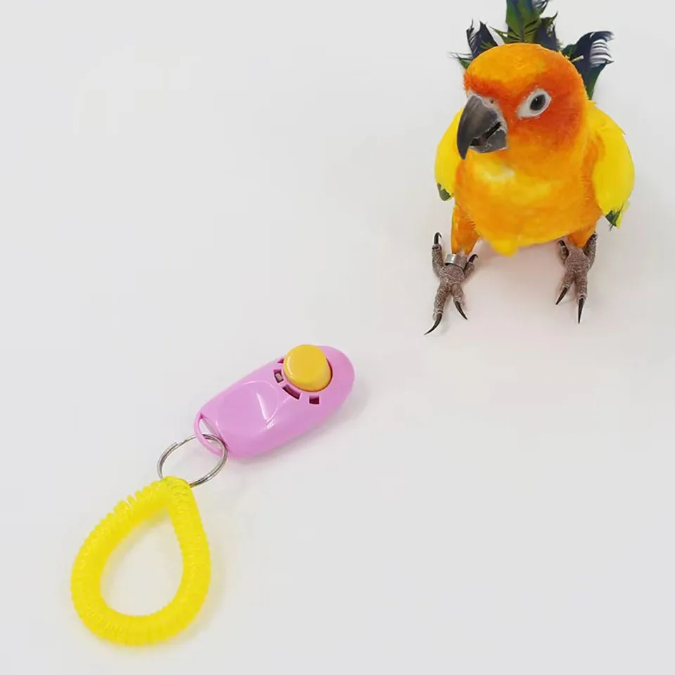 New Home Parrot Training Clicker Parrot Toy Training Educational Toys