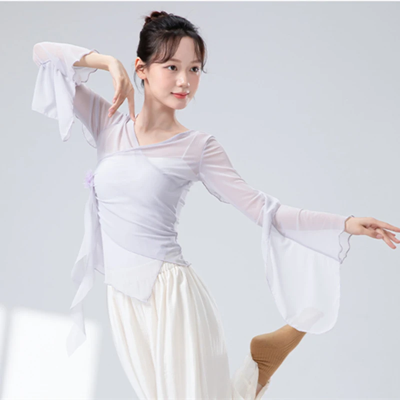 Classical Dance Gauze Mesh Top Women Flared Sleeve Sheer Shirt Training Flowy Body Rhyme Competition Tops Chinese Folk Dancewear