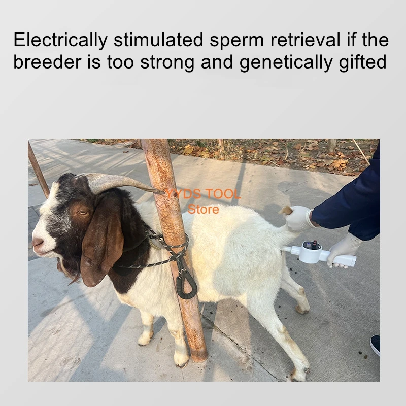 Portable Animal Electrosperm Collector Animal Artificial Breeding Instrument Pigs Cattle Sheep Fox Mice Monkey Panda Dogs