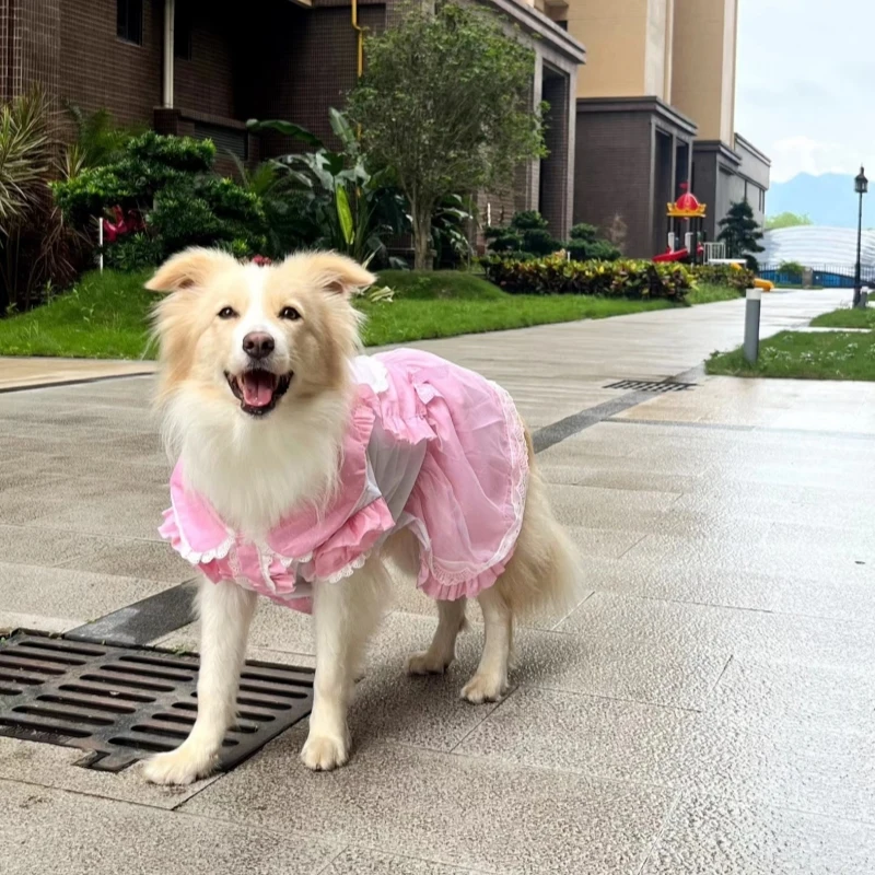 Large Dog Clothes Dress Big Dog Clothing Border Collie Samoyed Husky Labrador Golden Retriever Giant Poodle Dog Costume Apparel