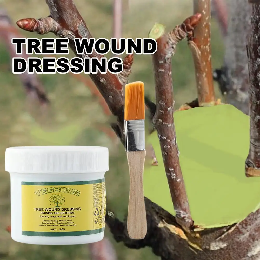 Healing Agent For Protective Tree Garden Tree Grafting Paste Tree Wound Dressing Pruning Sealer With Brush Bonsai Wound Age M6S6 