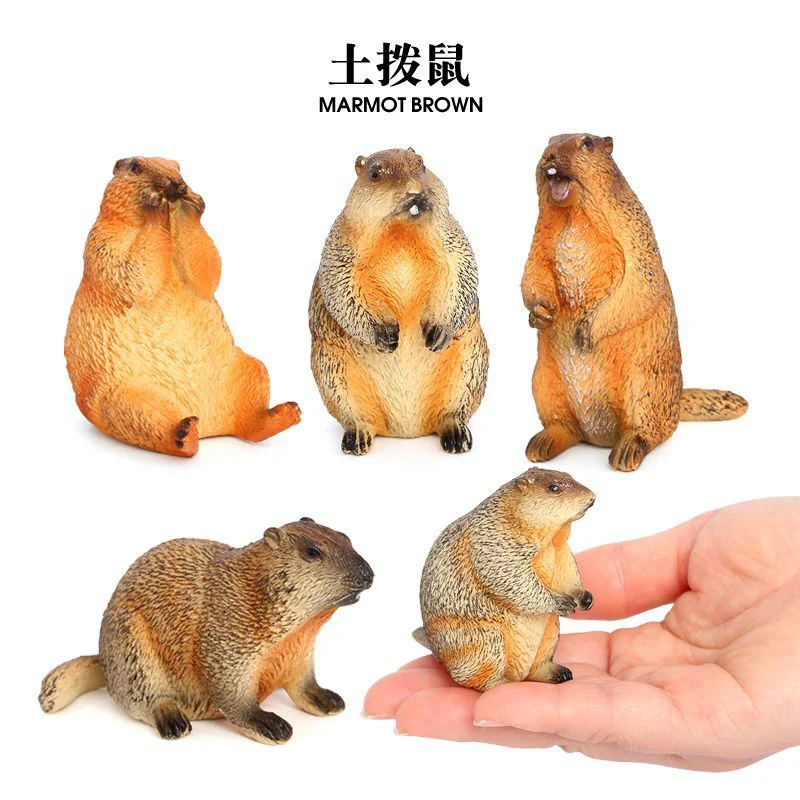 Figura de acción de Marmot para niños, juguete cognitivo simulado, sólido, Animal salvaje, lindo, modelo educativo, adornos, regalos para niños, gran oferta