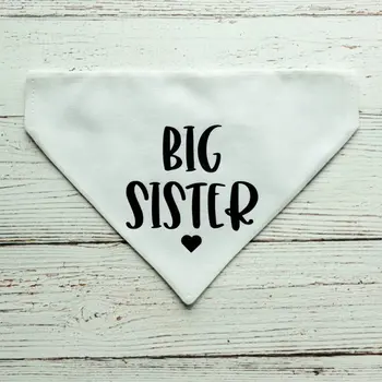 10 best sales אחות גדולה של הכלב - №7