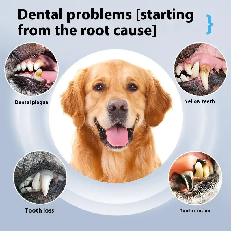for Dog Cat Grooming Smart Dental Ultrasonic Scaler Pet Household Tooth Stone Remover Tooth CleanerTooth Oral Cleaning Care Kit