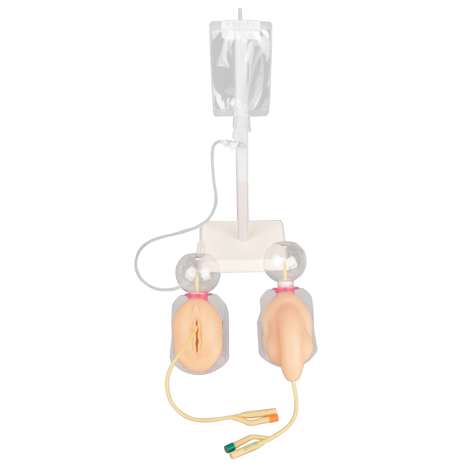 

Мужской/женский тренажер для катетеризации мочевой уретры, комплект модели для практики