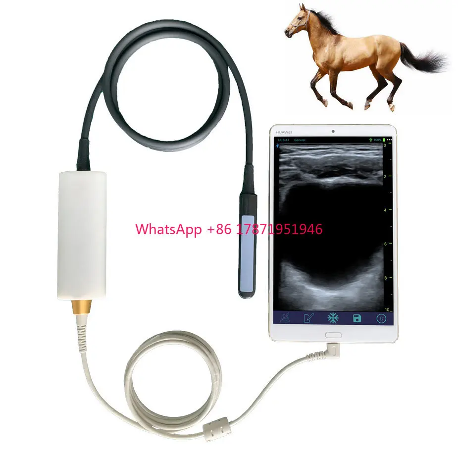 

USB Rectal horse cattle cow bovine equine test ultrasound veterinary sonar