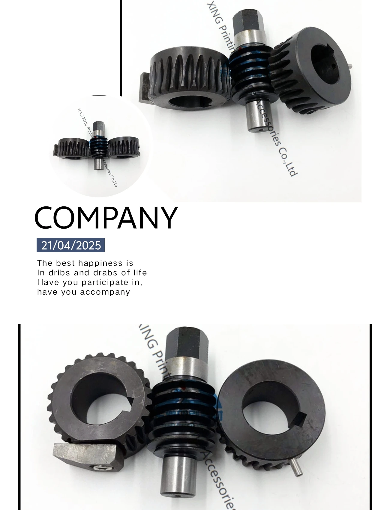 

for Heidelberg SM52 SM102 CD102 Worm and Gear CPL Blanket Worm and Gear 66.006.029 C5.006.409F Offset Printing Machinery Parts