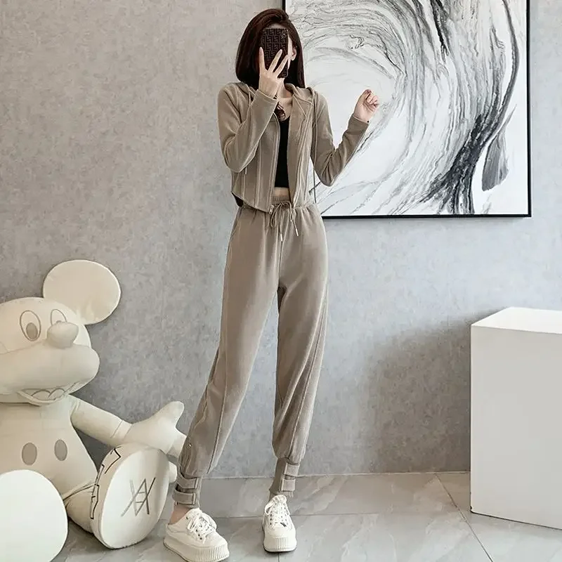 Women\'s Pants Two Piece Set Tracksuit Sport Slim Fit Hooded Camel Ladies Trouser Sweatshirt Fashion Clothing 2024 New Matching D