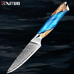 Cuchillo de pelar de acero de Damasco, navaja pequeña de cocina de 3,5 pulgadas, cuchillo afilado para fruta, VG10, 67 capas, mango ergonómico de espiga completa