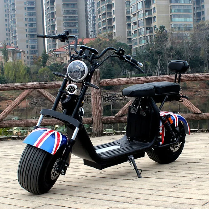 

Adult Electric Vehicle Removable Dual Battery Harley