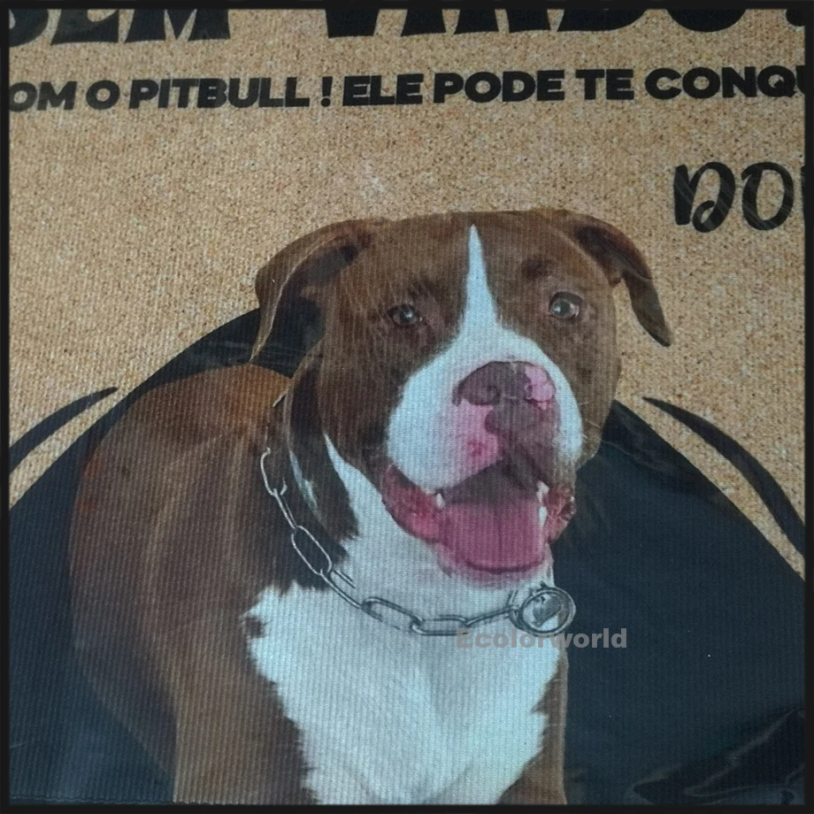 Felpudo personalizado con foto de perro, Felpudo con Nombre de mascota, alfombrillas de suelo para puerta de pasillo, alfombra, accesorio de
