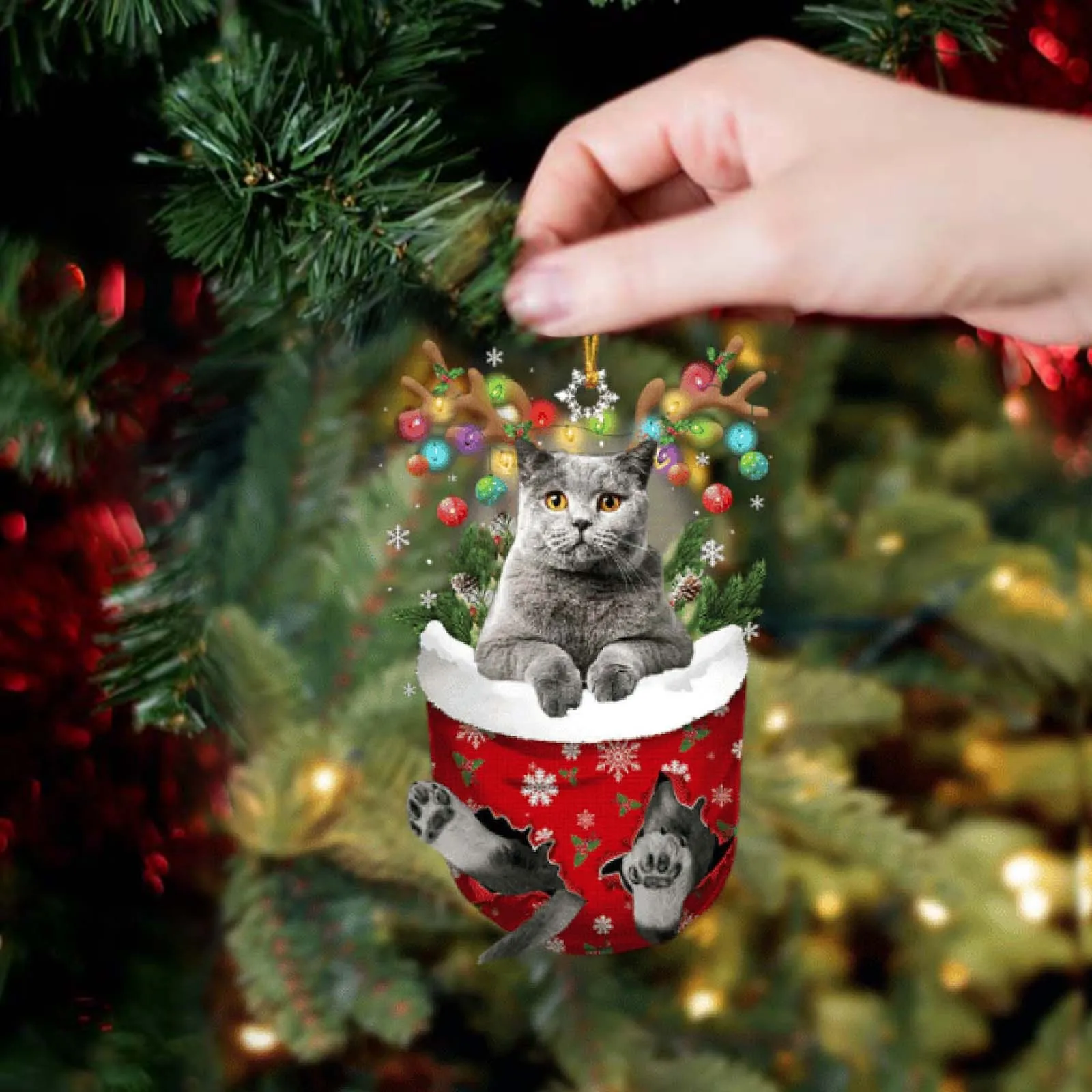 Acrílico Cat Stocking Christmas Tree Ornamento, Hangings Porta, Meias, Xmas Presentes para Pet Lovers, Ornamento