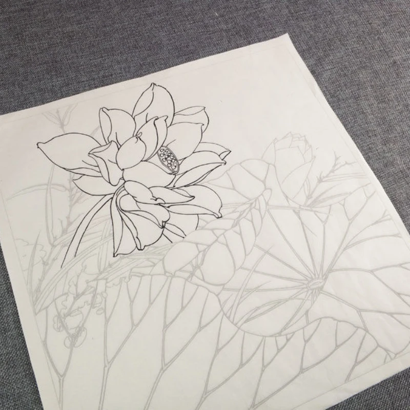 Chinese Painting Copying Draft Ripe Xuan Paper Line Draft Meticulous Painting Coloring Flowers Birds Getting Started Line Drafts