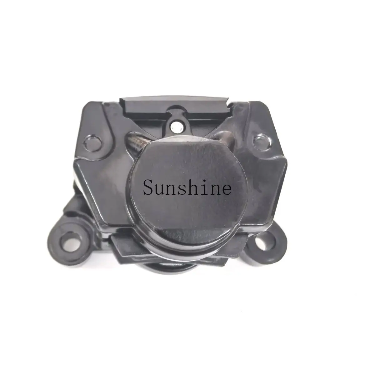 Electric vehicle double piston opposite disc brake lower pump brake lower pump