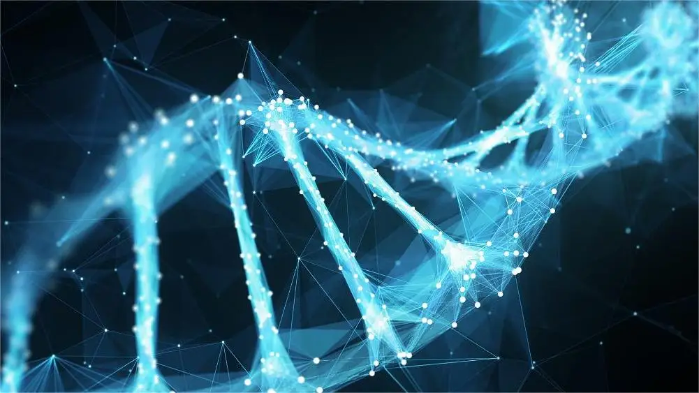 

Твои волосы очень красивы.